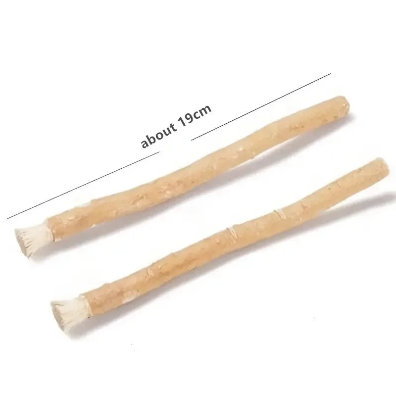 Eco-Chic Luxe Teeth Stick