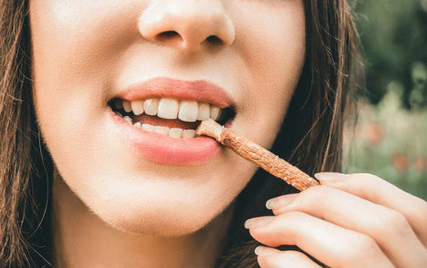 Eco-Chic Luxe Teeth Stick